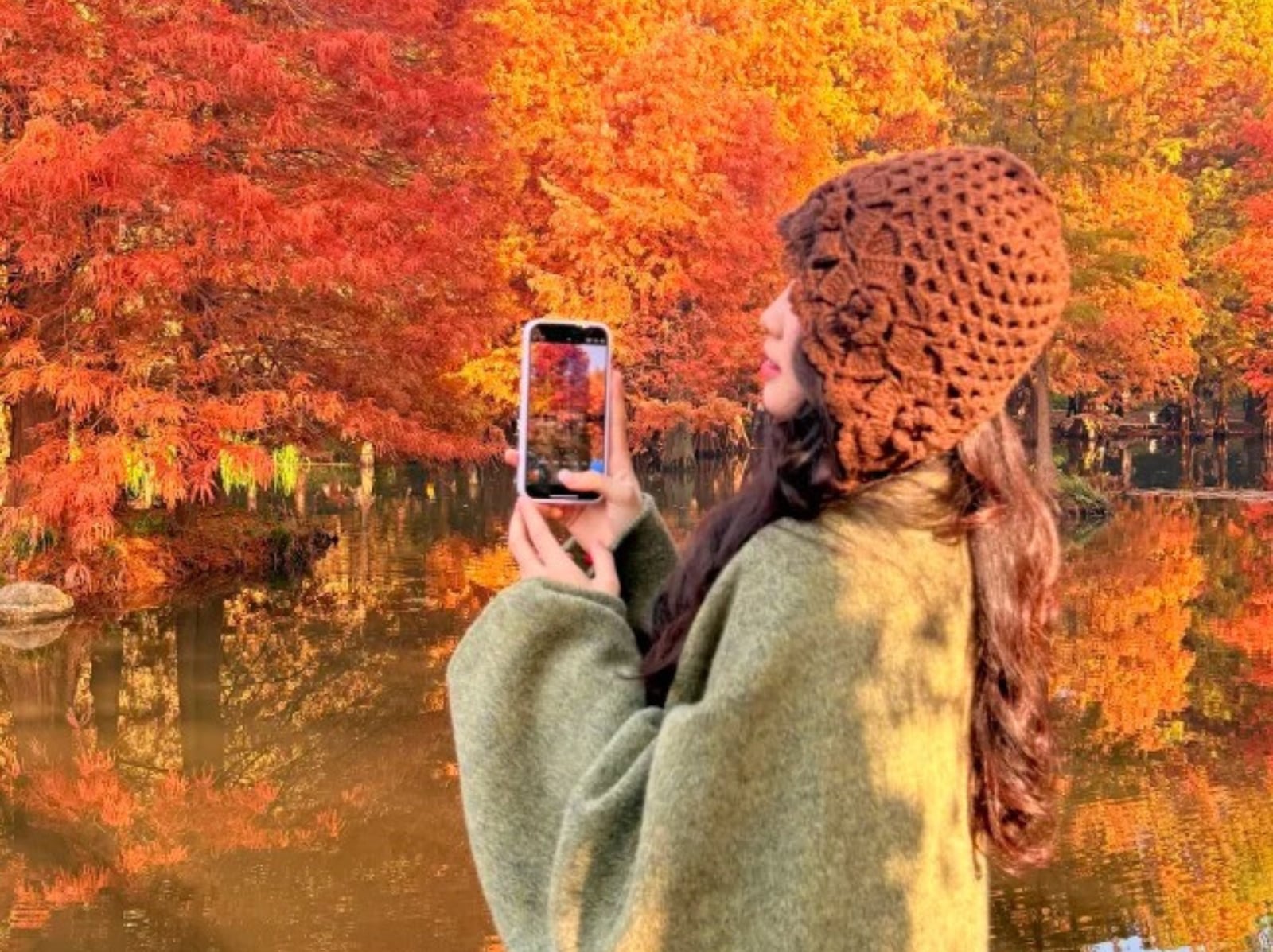 2026 大台北落羽松景點總整理｜交通資訊、最佳觀賞時間、穿搭推薦⋯一次看！