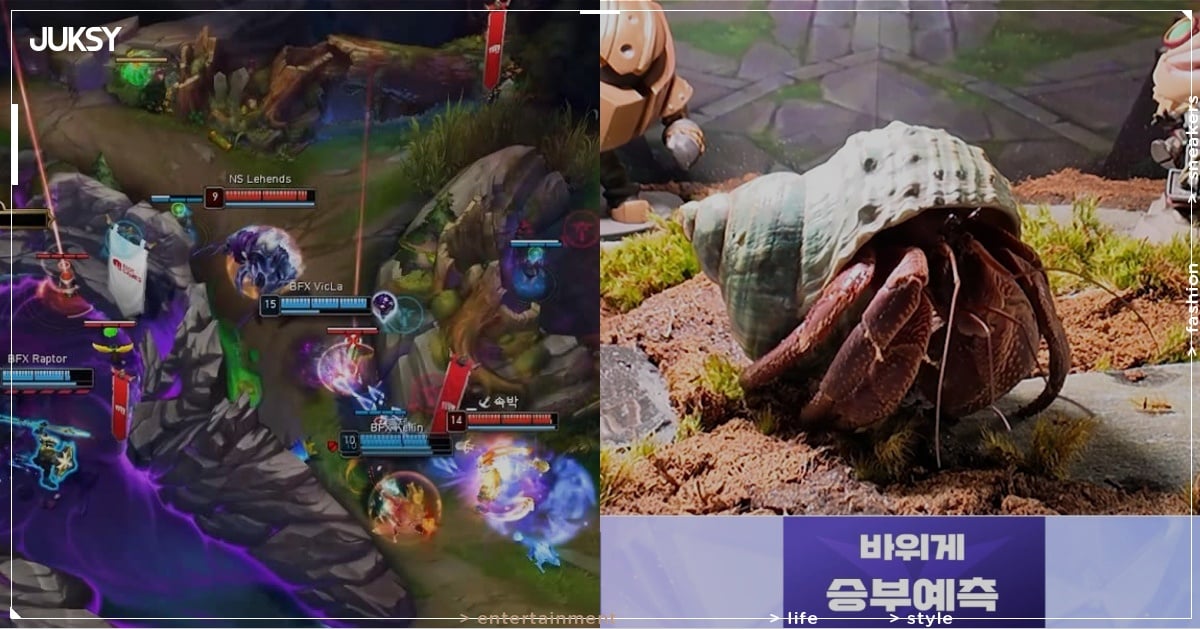 2026 韓國《英雄聯盟》職業聯賽開打！官方找野怪河蟹當預測嘉賓引熱議！