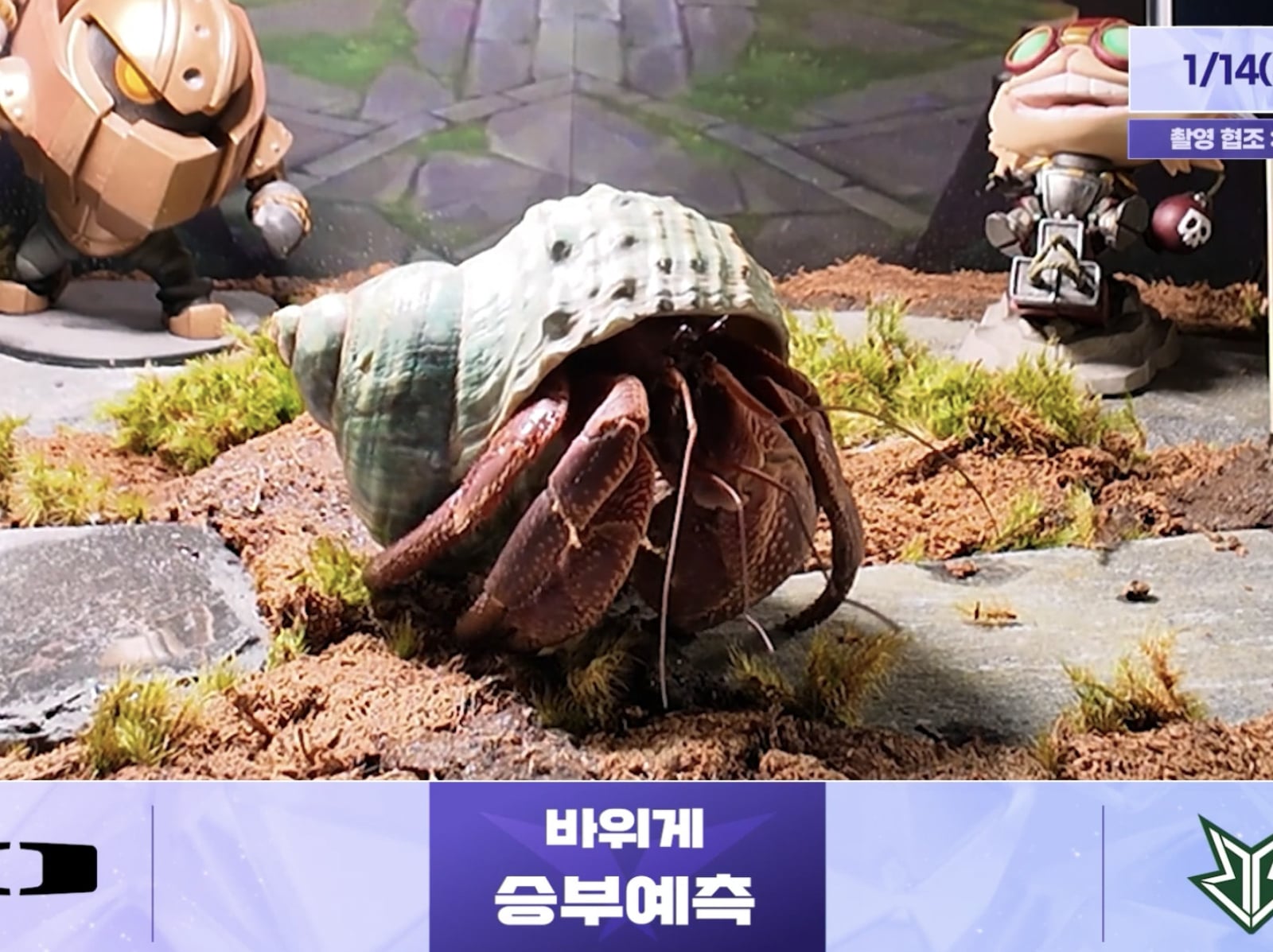 2026 韓國《英雄聯盟》職業聯賽開打！官方找野怪河蟹當預測嘉賓引熱議！