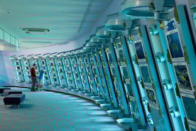 2026 宮古島旅遊全攻略｜星宇直飛航線、5 大必訪景點推薦⋯一次看！