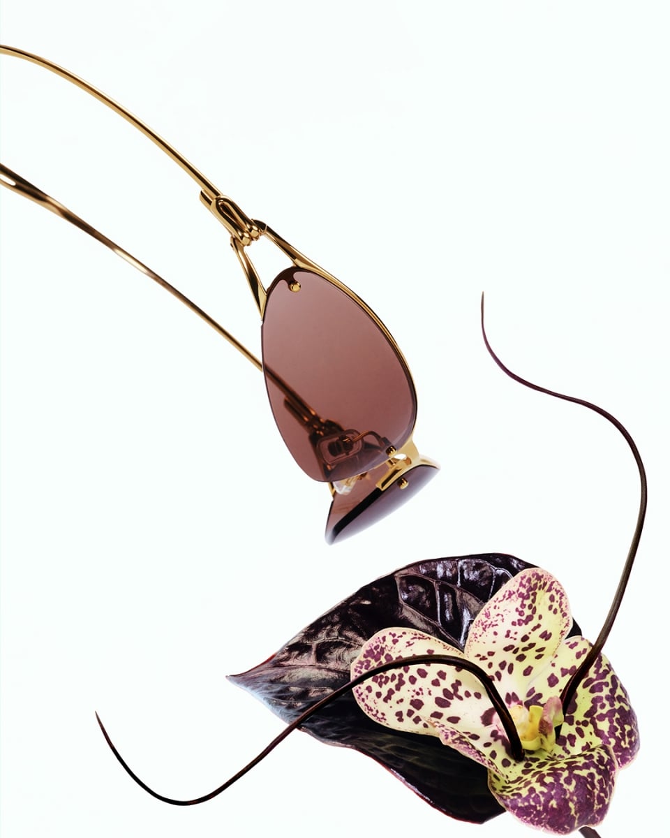 GENTLE MONSTER 聯手 FKA twigs 迎來跨界聯名！以植物美學展現眼鏡輪廓