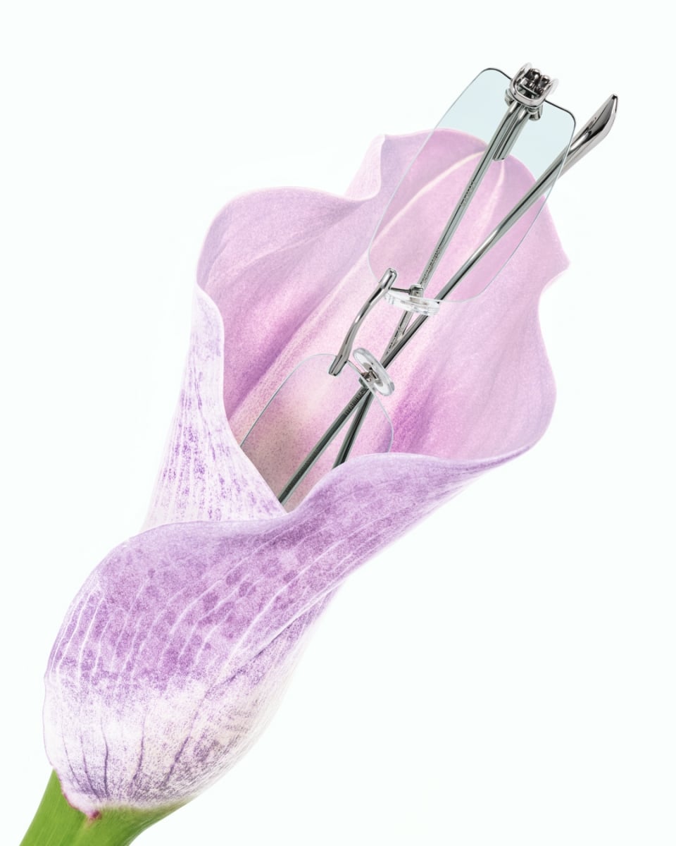 GENTLE MONSTER 聯手 FKA twigs 迎來跨界聯名！以植物美學展現眼鏡輪廓