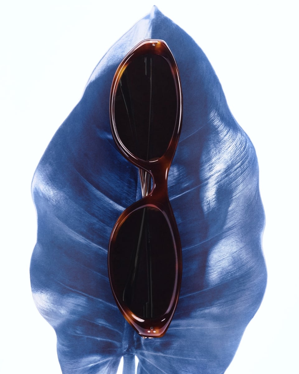 GENTLE MONSTER 聯手 FKA twigs 迎來跨界聯名！以植物美學展現眼鏡輪廓