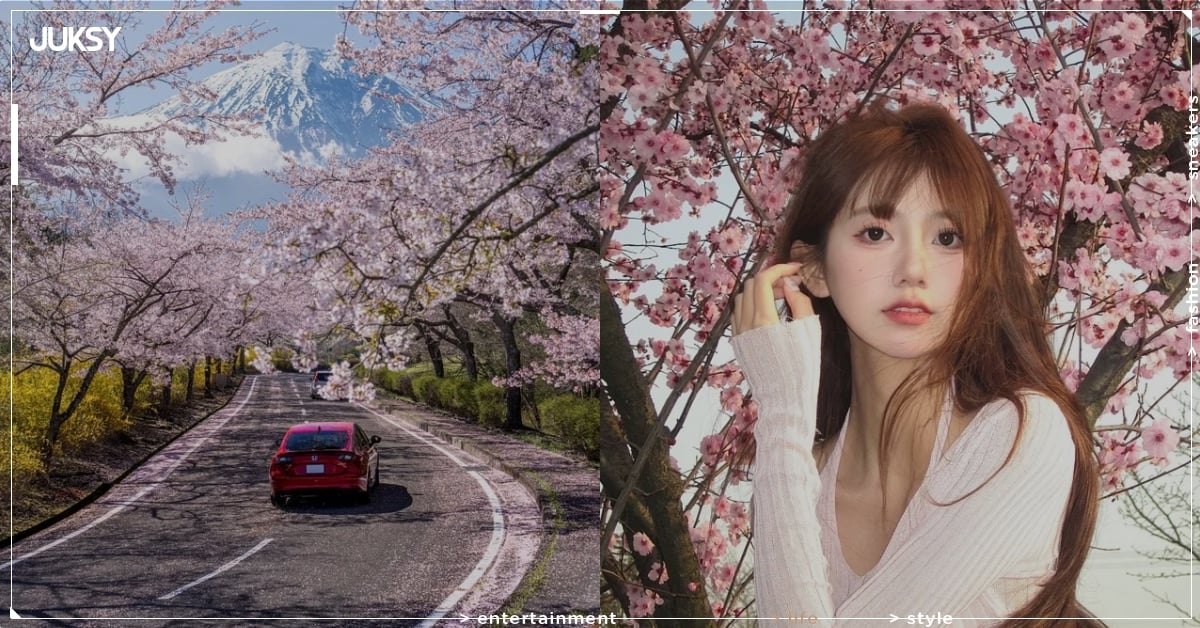 2026 日本賞櫻時間景點推薦總整理！新宿御苑、大阪城、吉野山⋯櫻花滿開絕美景致必打卡！