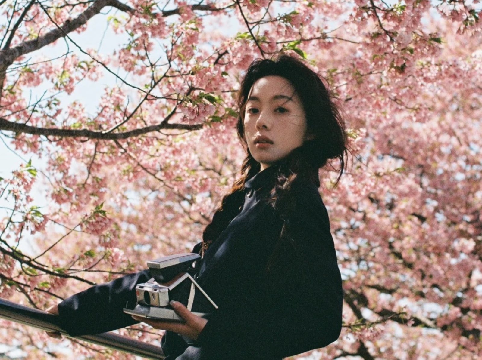 2026 日本賞櫻時間景點推薦總整理！新宿御苑、大阪城、吉野山⋯櫻花滿開絕美景致必打卡！