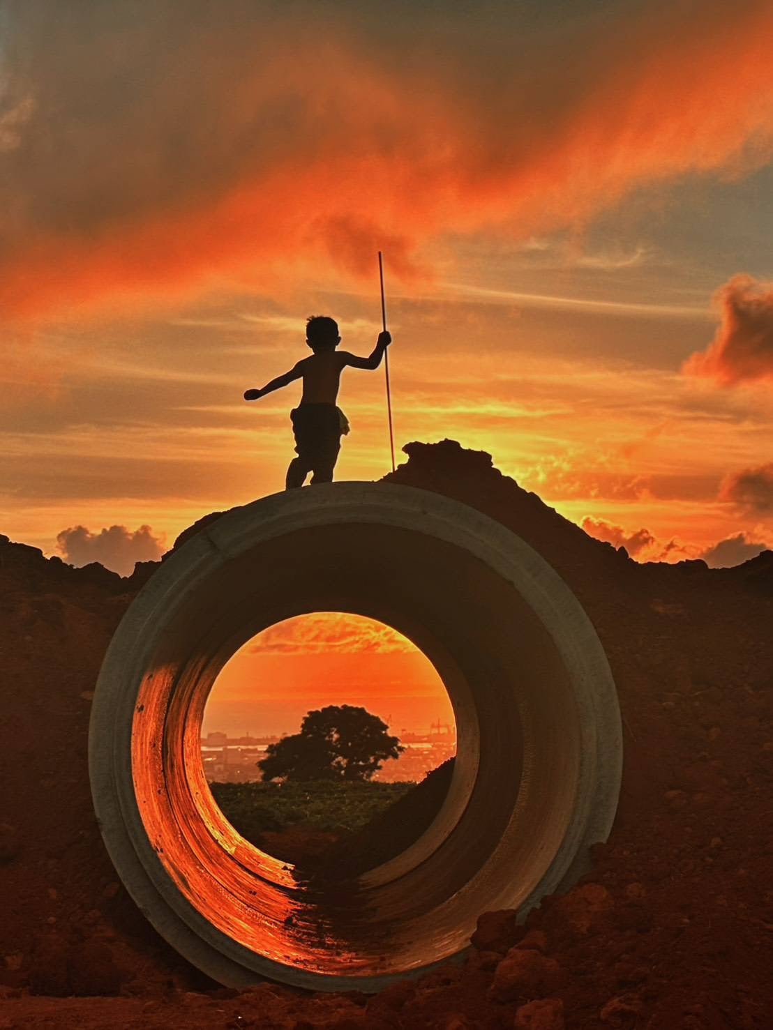 先放過自己，慈悲才會長出來。別人的行為，是他的因果；我的痛苦要不要繼續，是我的修行。《Alice 的情緒快遞》