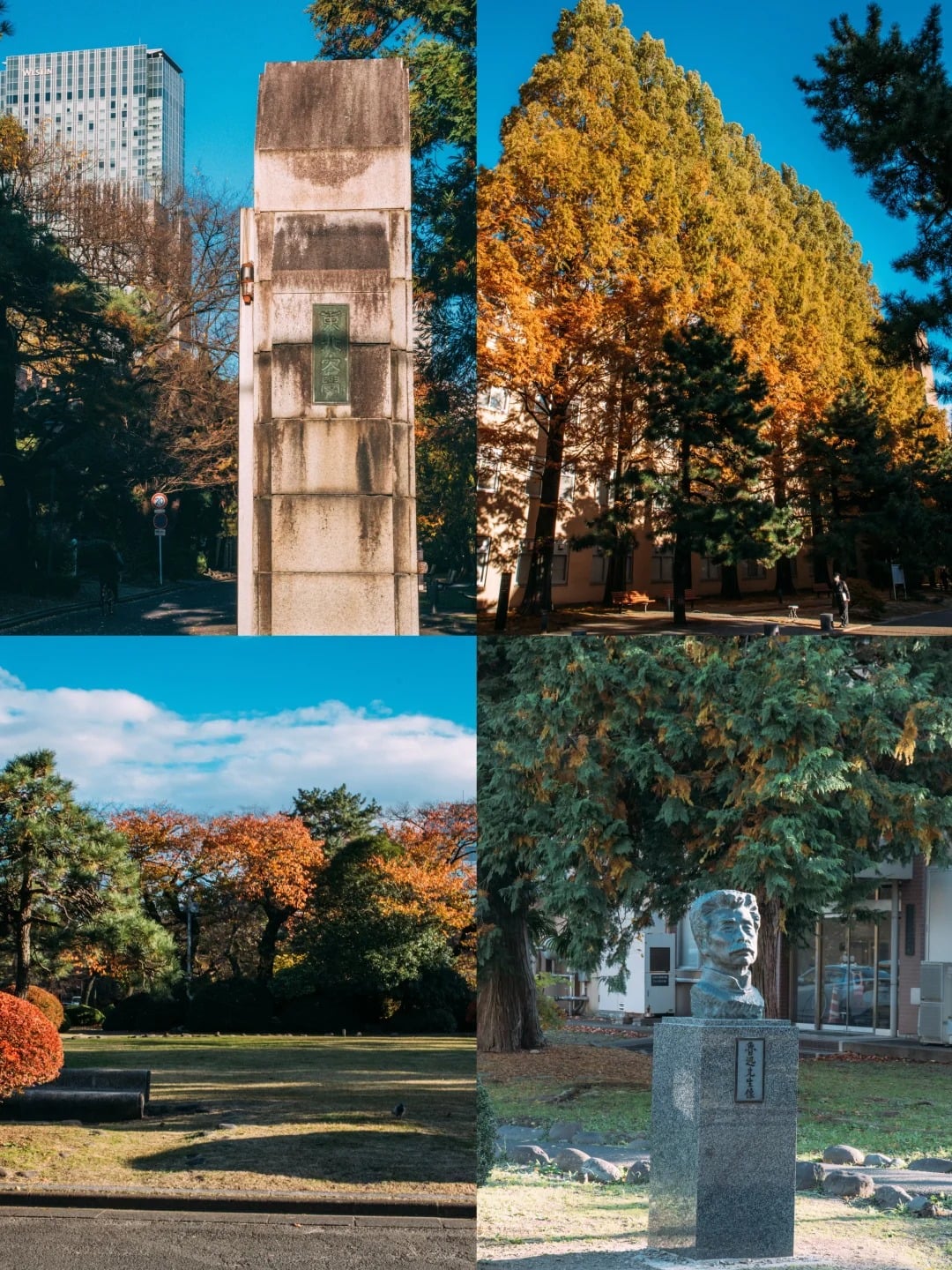 2026 日本熱門旅遊城市曝光!網讚:「物價便宜還不用人擠人!」