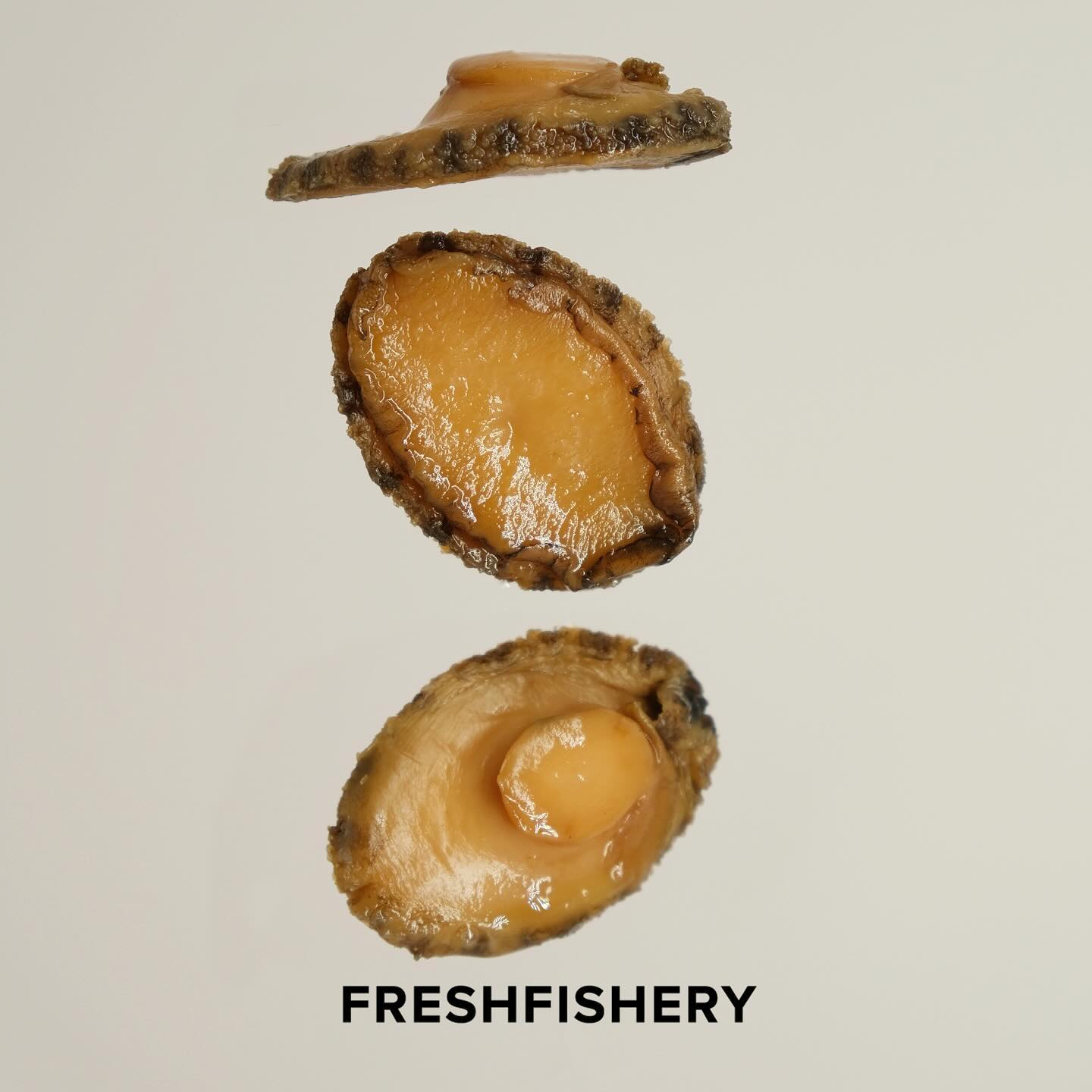 台中期間限定! Freshfishery漁事所 攜手日本「伊良可樂」 打造未來感空間 用設計解構百年烏魚子文化