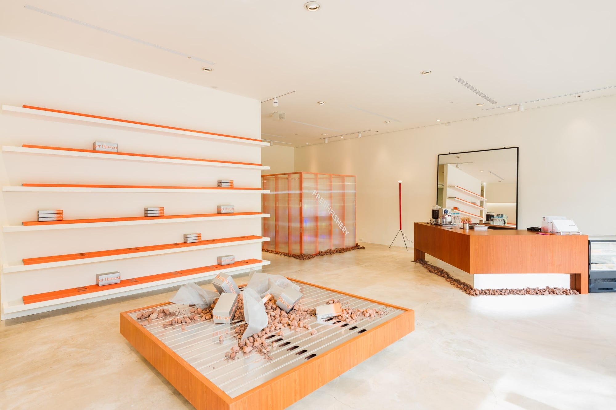 台中期間限定! Freshfishery漁事所 攜手日本「伊良可樂」 打造未來感空間 用設計解構百年烏魚子文化