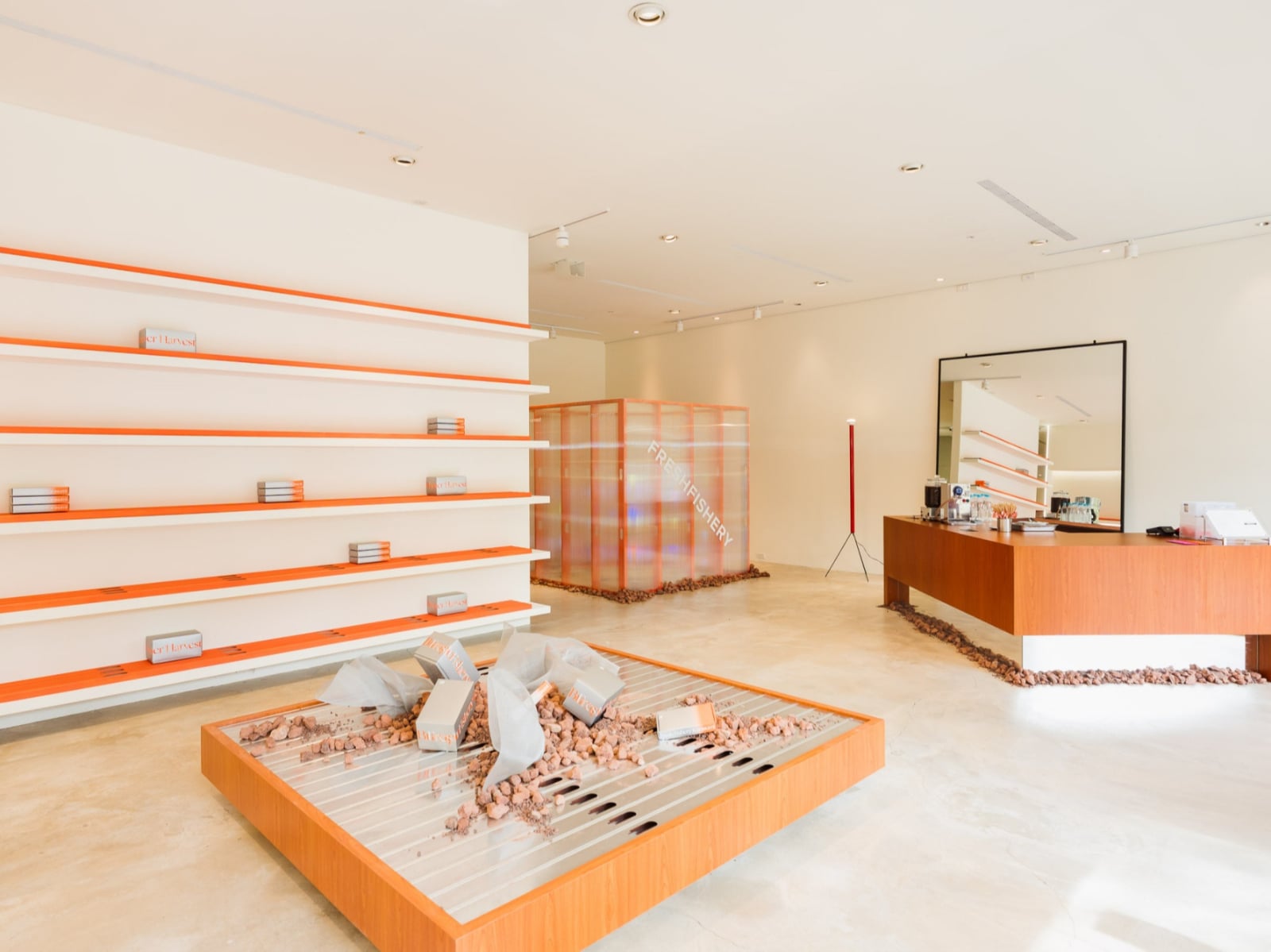 台中期間限定！ Freshfishery漁事所 攜手日本「伊良可樂」 打造未來感空間 用設計解構百年烏魚子文化