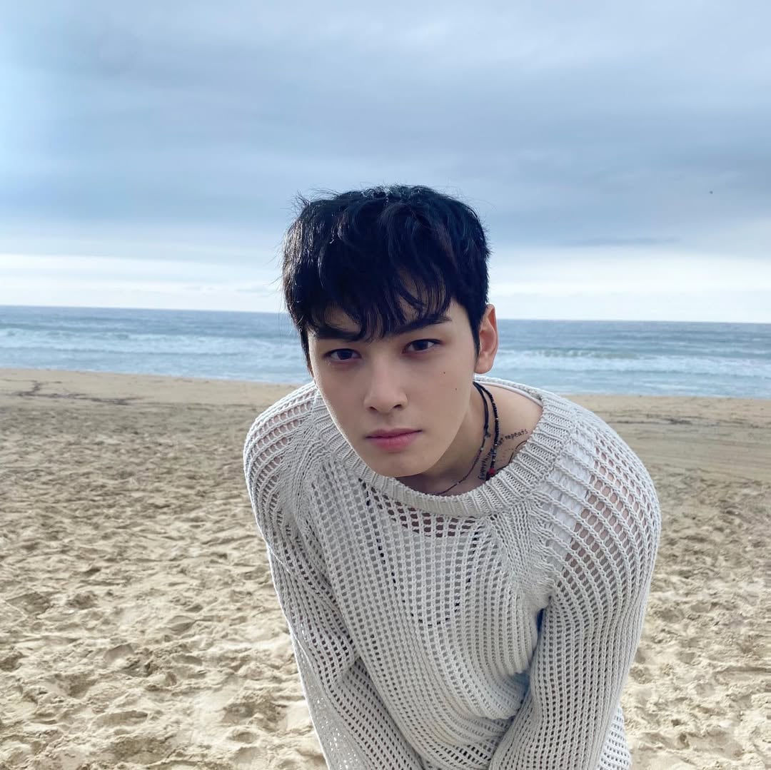 車銀優逃稅爭議頻傳！D 社爆內幕：「公司竟然是廢墟！」