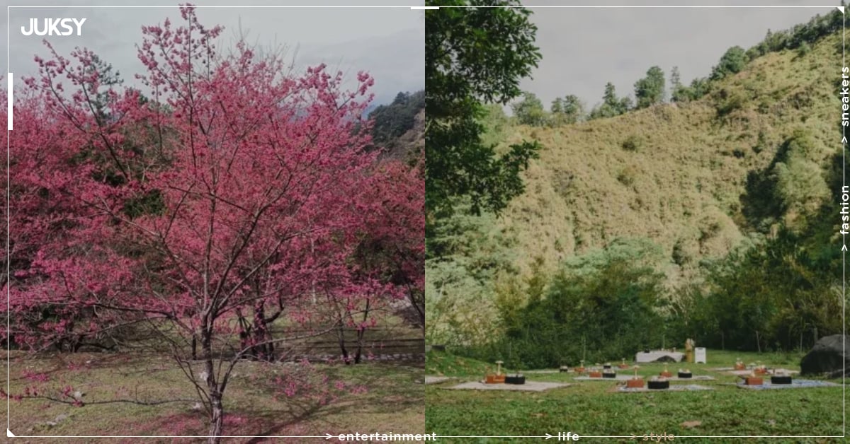 高雄櫻花季陣容超狂！BOYNEXTDOOR、SUPER JUNIOR-D&E、VIVIZ 齊聚⋯粉絲驚呼：「根本演唱會等級！」