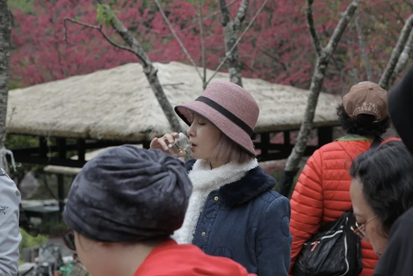 高雄櫻花季陣容超狂！BOYNEXTDOOR、SUPER JUNIOR-D&E、VIVIZ 齊聚⋯粉絲驚呼：「根本演唱會等級！」