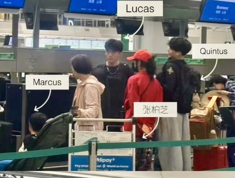 張柏芝和三個兒子同框引熱議!Lucas 氣質神複製、Quintus 身高超車謝霆鋒!