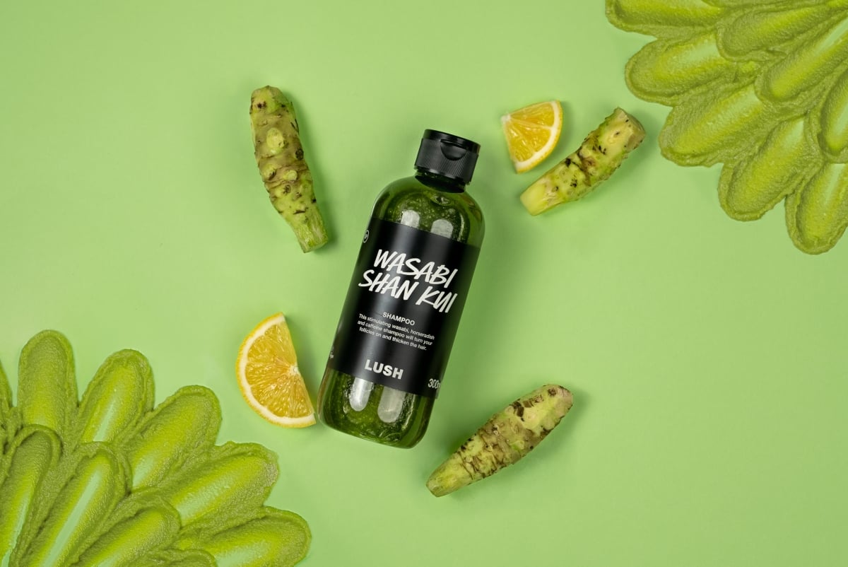 LUSH－山葵洗髮露