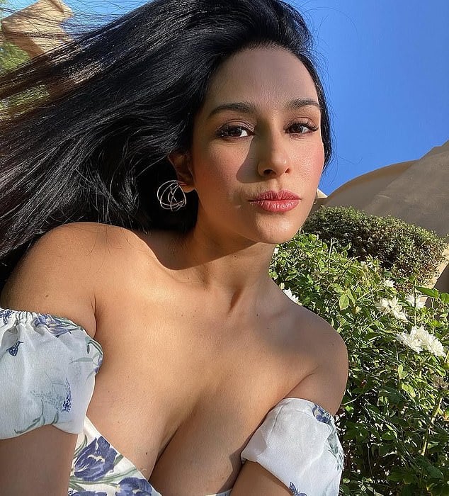 勞勃許奈德 Rob Schneider 16 年婚姻告終!妻子堅決表示「無和解可能」!