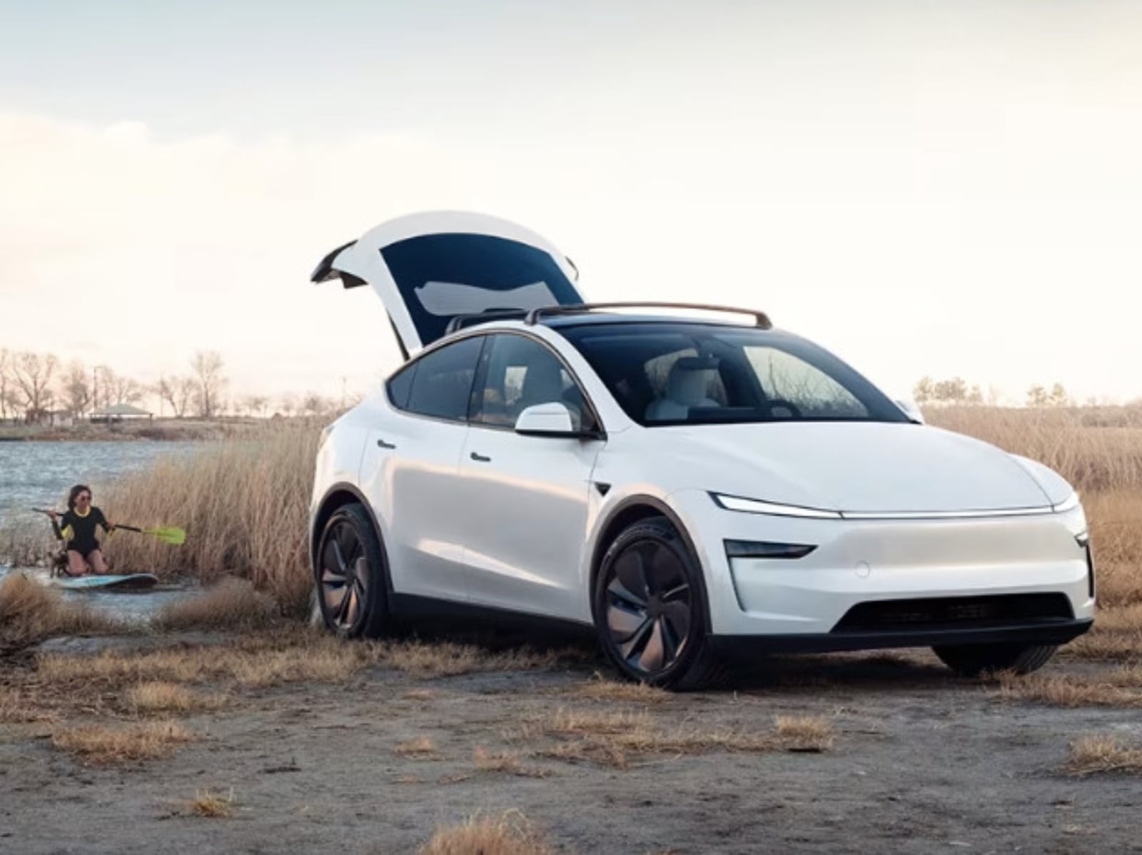 特斯拉  Model Y 推新版本！價格、規格全輪驅動車型登場一次看！