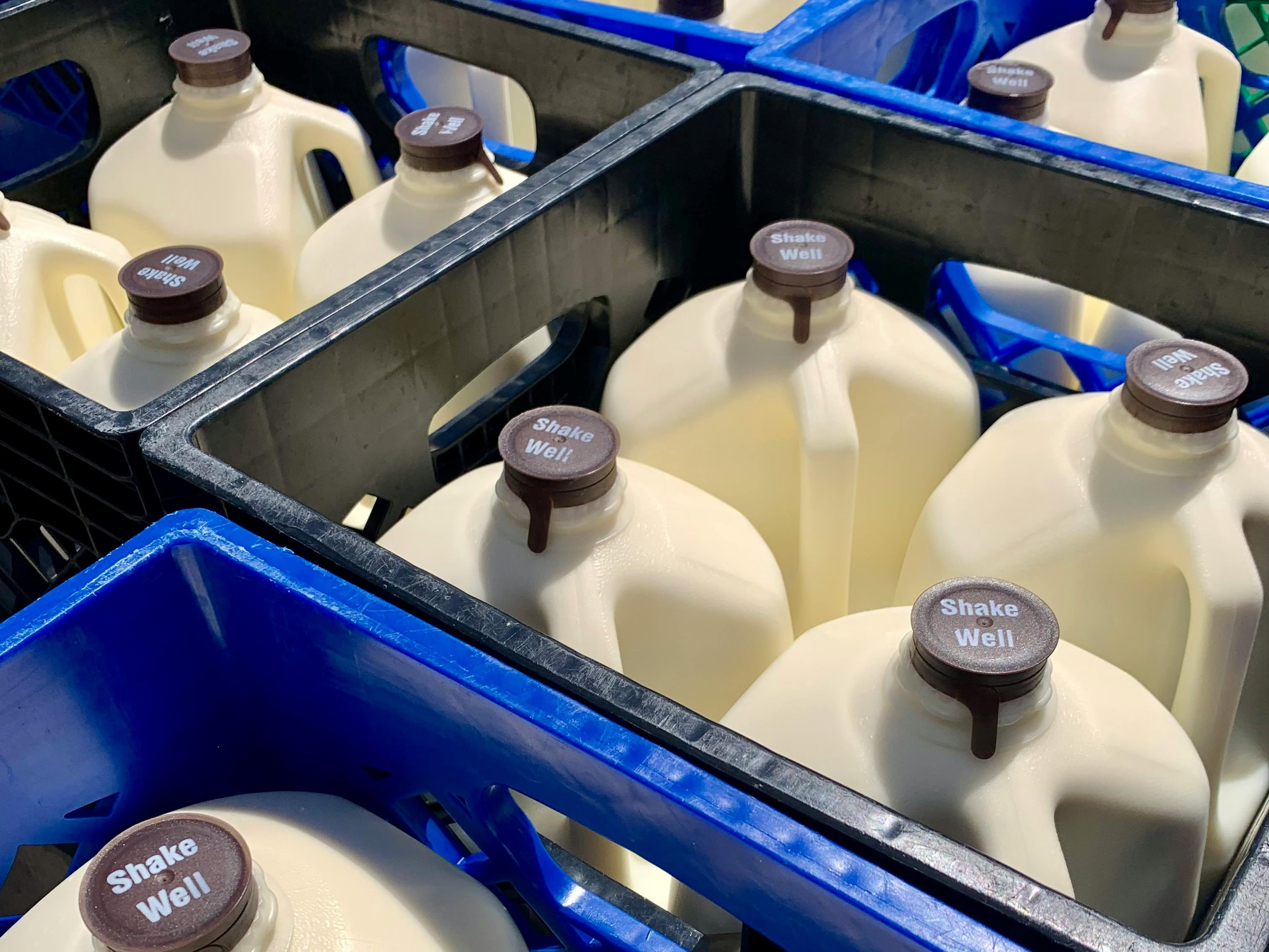 2026 乳品鮮奶標示新制將上路！實施時間、標章一次看！