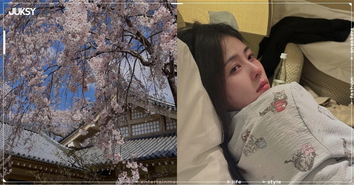 日本氣象廳警告花粉風暴來襲！專家曝「泡澡 3 招」就能舒緩症狀！