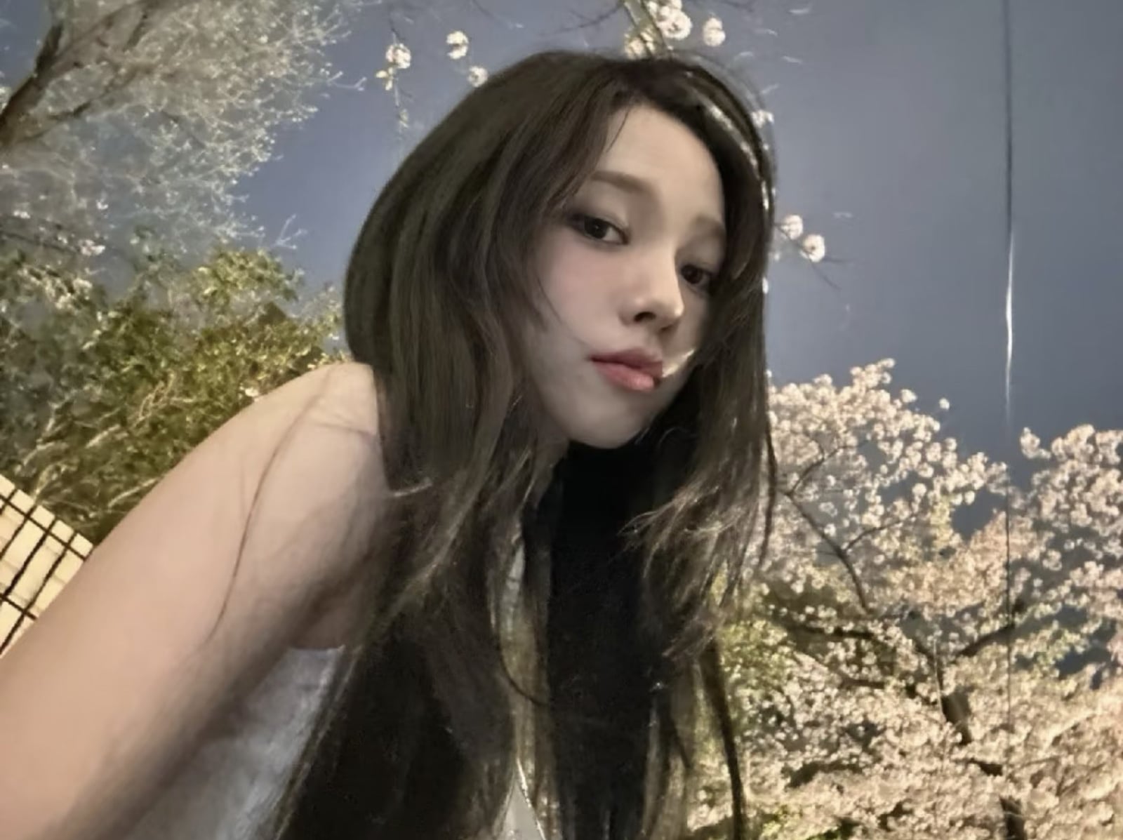 日本氣象廳警告花粉風暴來襲！專家曝「泡澡 3 招」就能舒緩症狀！