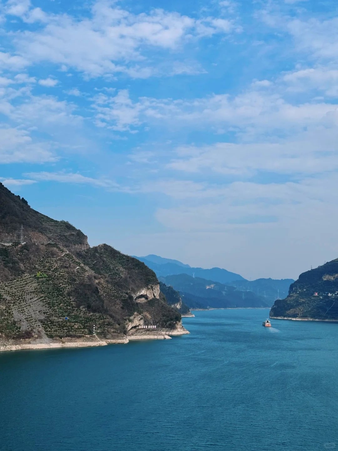 湖北狗狗山成爆紅打卡景點！網驚嘆：「動作像喝水超可愛！」
