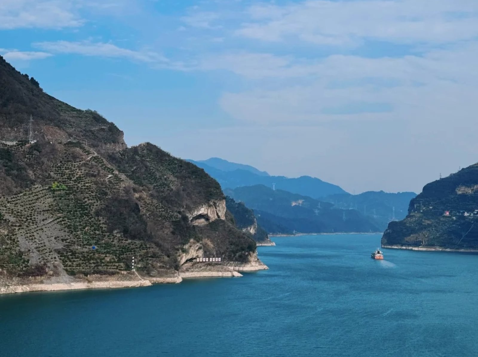 湖北狗狗山成爆紅打卡景點！網驚嘆：「動作像喝水超可愛！」