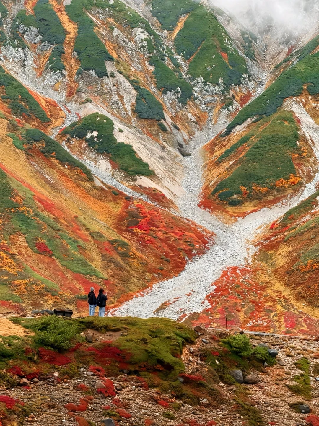 2026 日本黑部立山開山時間曝光！雪之大谷雪牆、夢幻楓紅景象月份總整理！