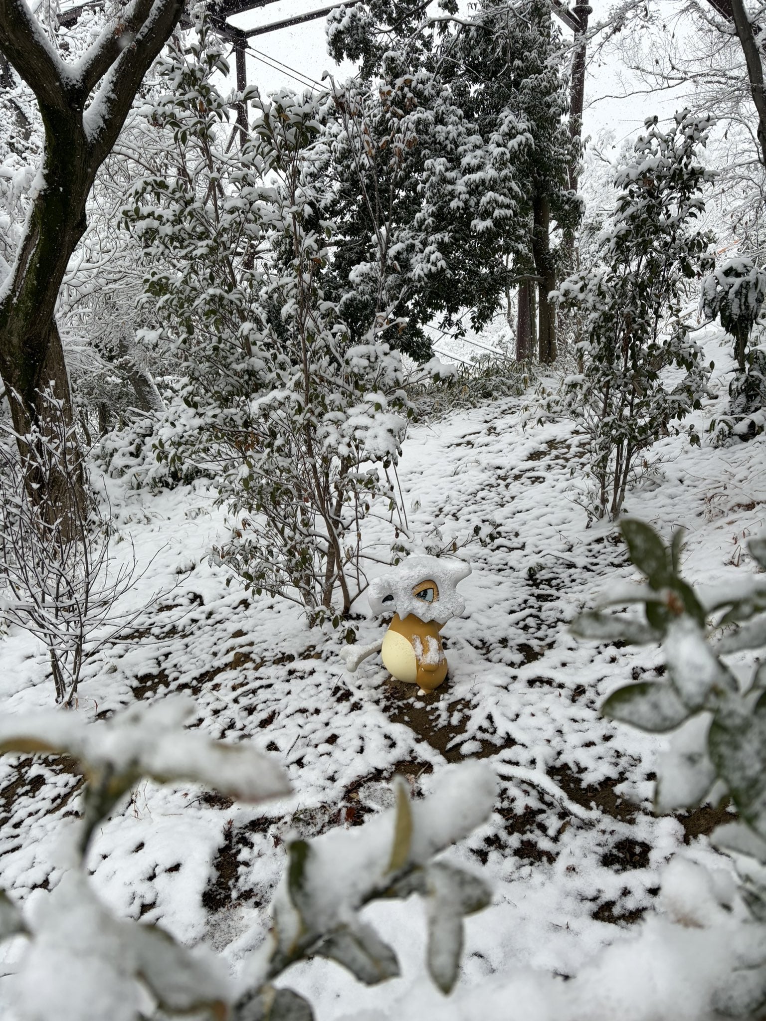 《寶可夢樂園：關都》開幕遇大雪！日本網友拍下雪中寶可夢超萌畫面