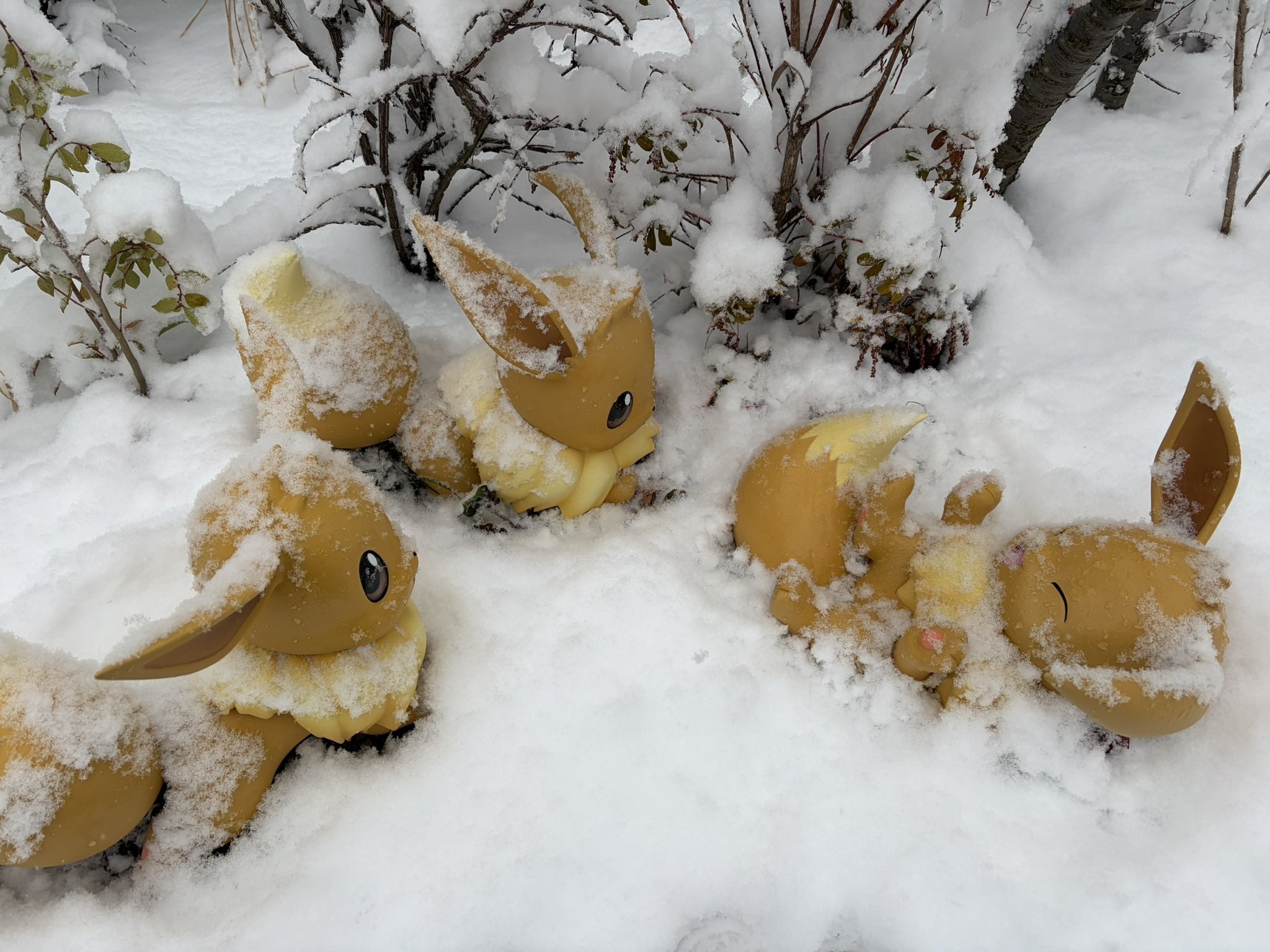《寶可夢樂園：關都》開幕遇大雪！日本網友拍下雪中寶可夢超萌畫面