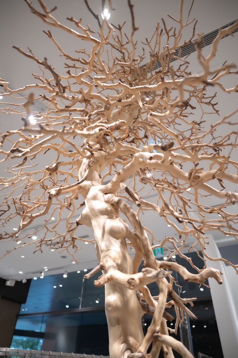 日本超紅品牌 mizuiro ind 海外首間旗艦店登台！150+ 款春夏新品、無性別系列搶先開賣！