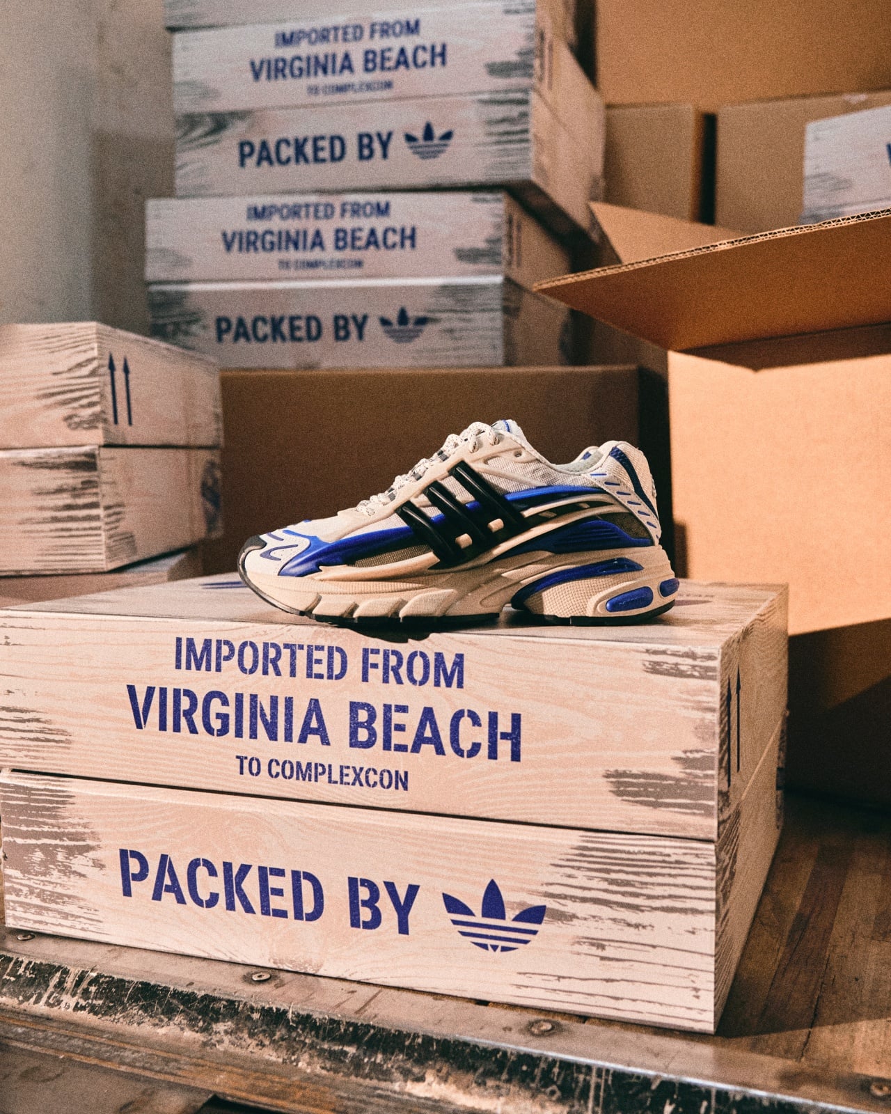 VIRGINIA Adistar Jellyfish 鞋款完整解析！菲董操刀設計、連朴宰範都被吸引？