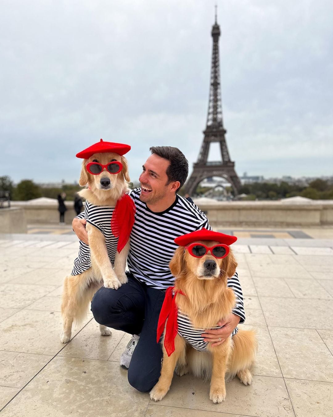 史上最會擺拍的黃金獵犬! 陪主人環遊世界,兼職當超萌狗保母