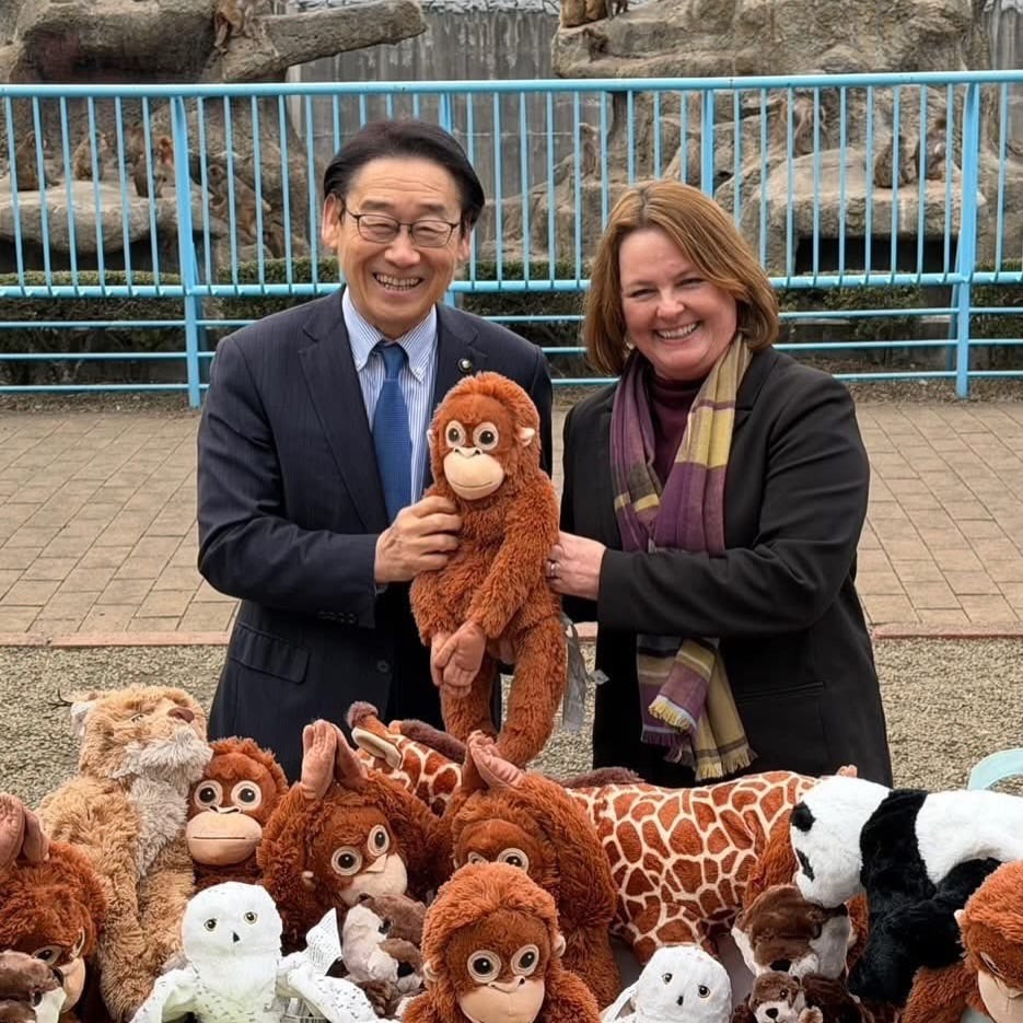 Panchi 小猴子紅什麼?緊抱 IKEA 玩偶、無法融入族群遭拖行⋯暖心故事一次看!