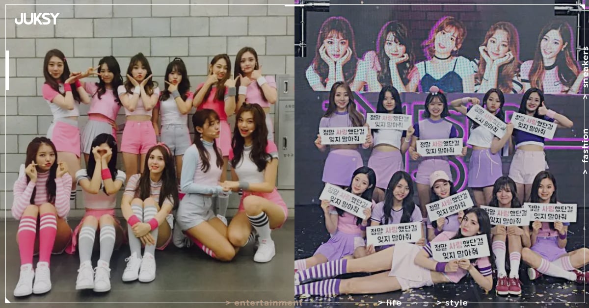 I.O.I 宣布回歸推出新專輯、演唱會!康美娜、周潔瓊確定缺席!