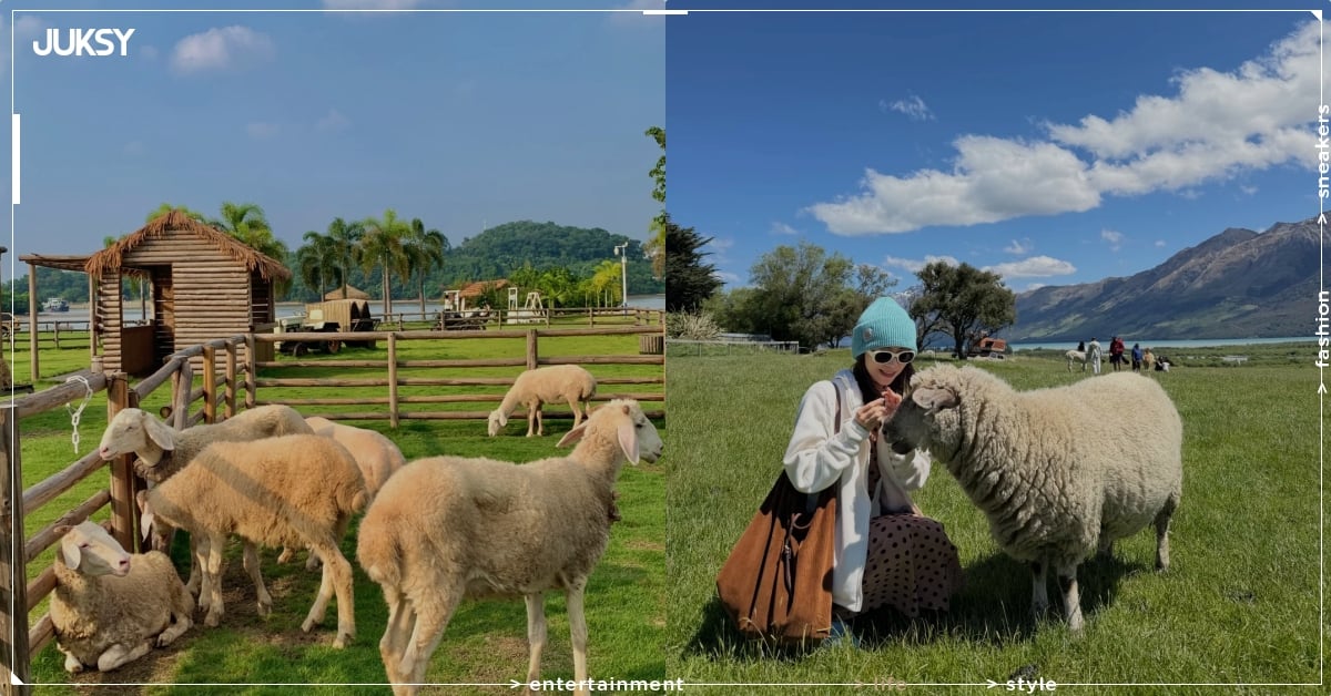 2026 全台 10 大動物休閒農場推薦總整理｜時間、地點、體驗活動⋯一次看！