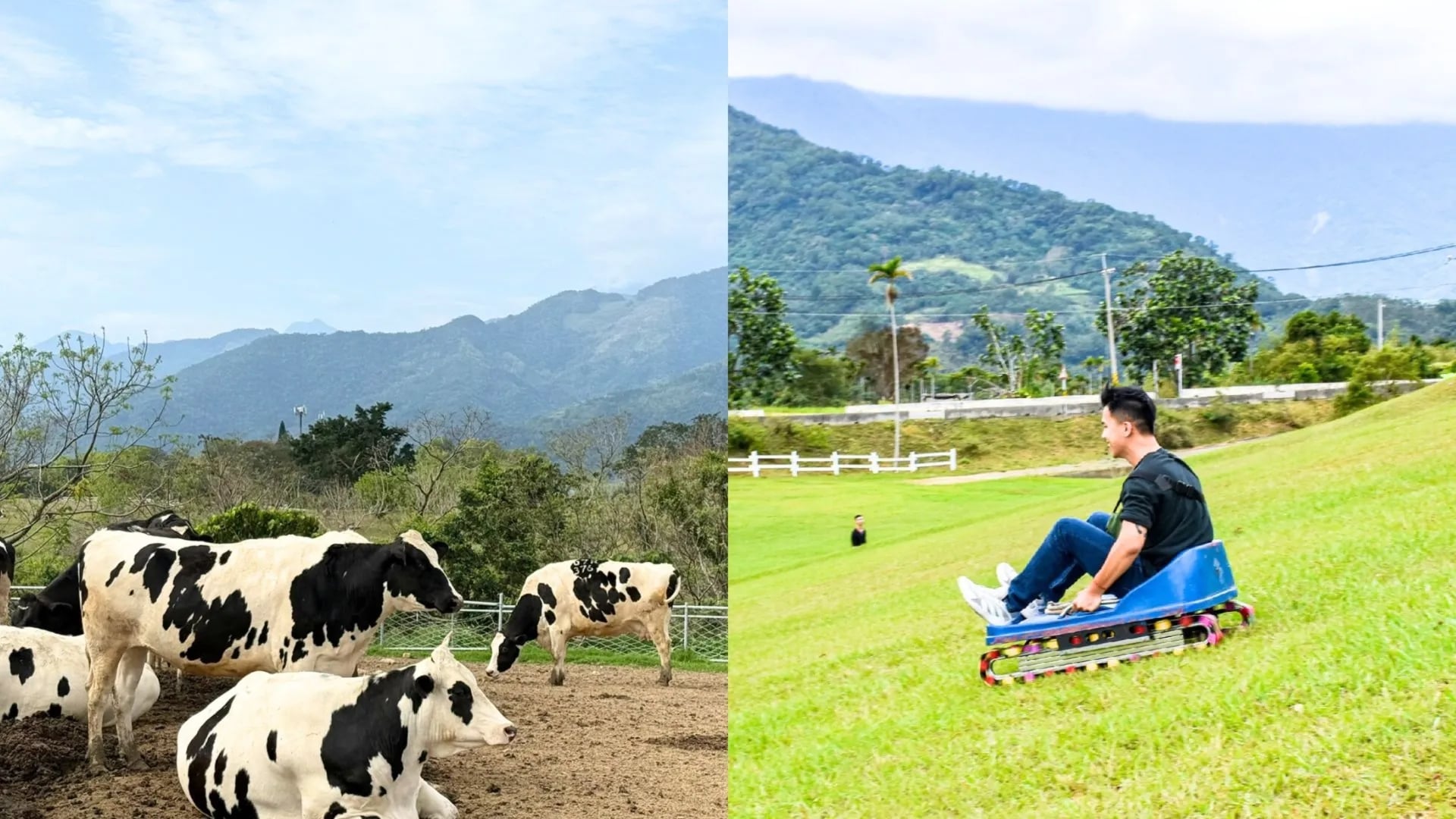 2026 全台 10 大動物休閒農場推薦總整理｜時間、地點、體驗活動⋯一次看！