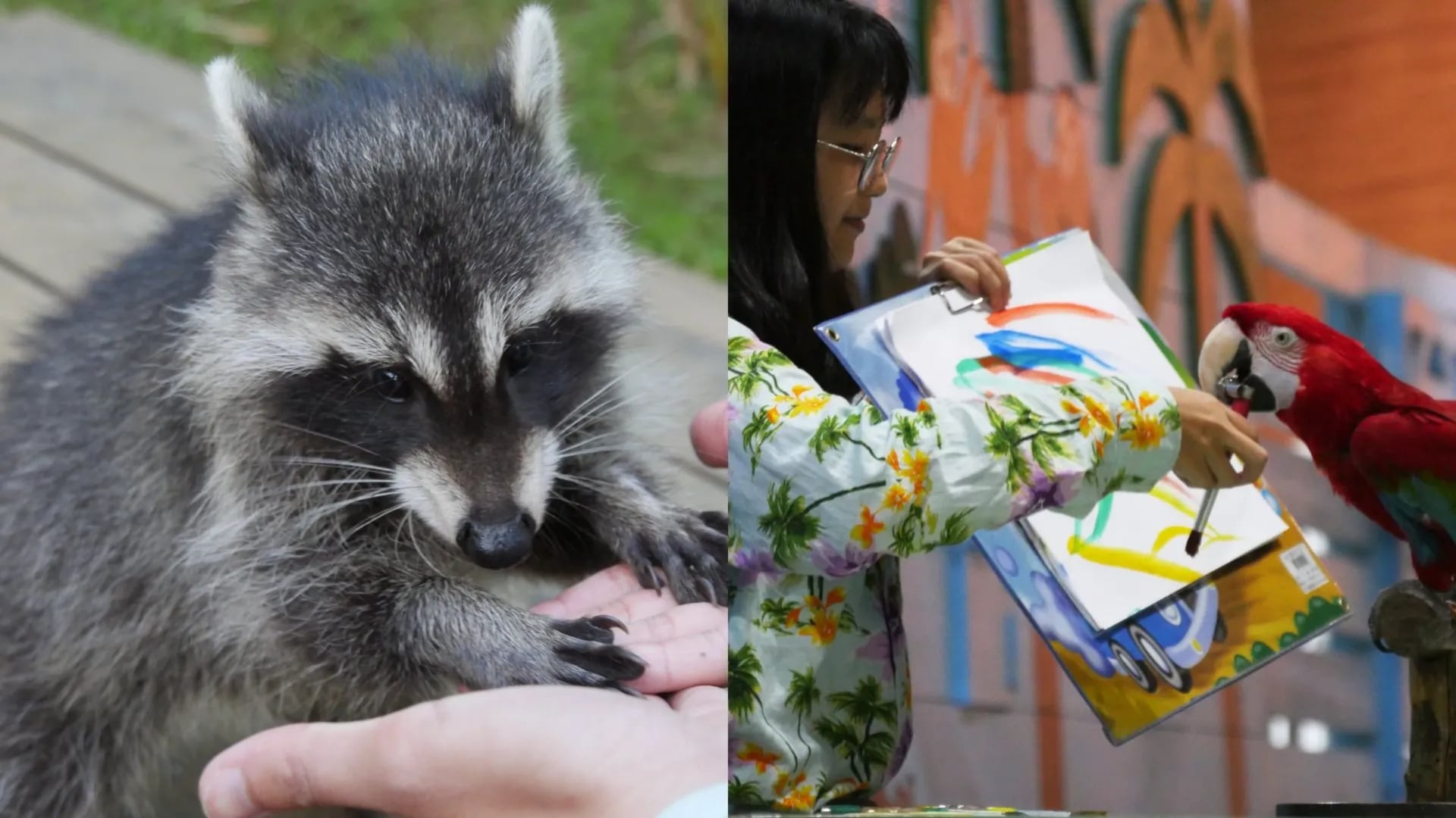 2026 全台 10 大動物休閒農場推薦總整理｜時間、地點、體驗活動⋯一次看！