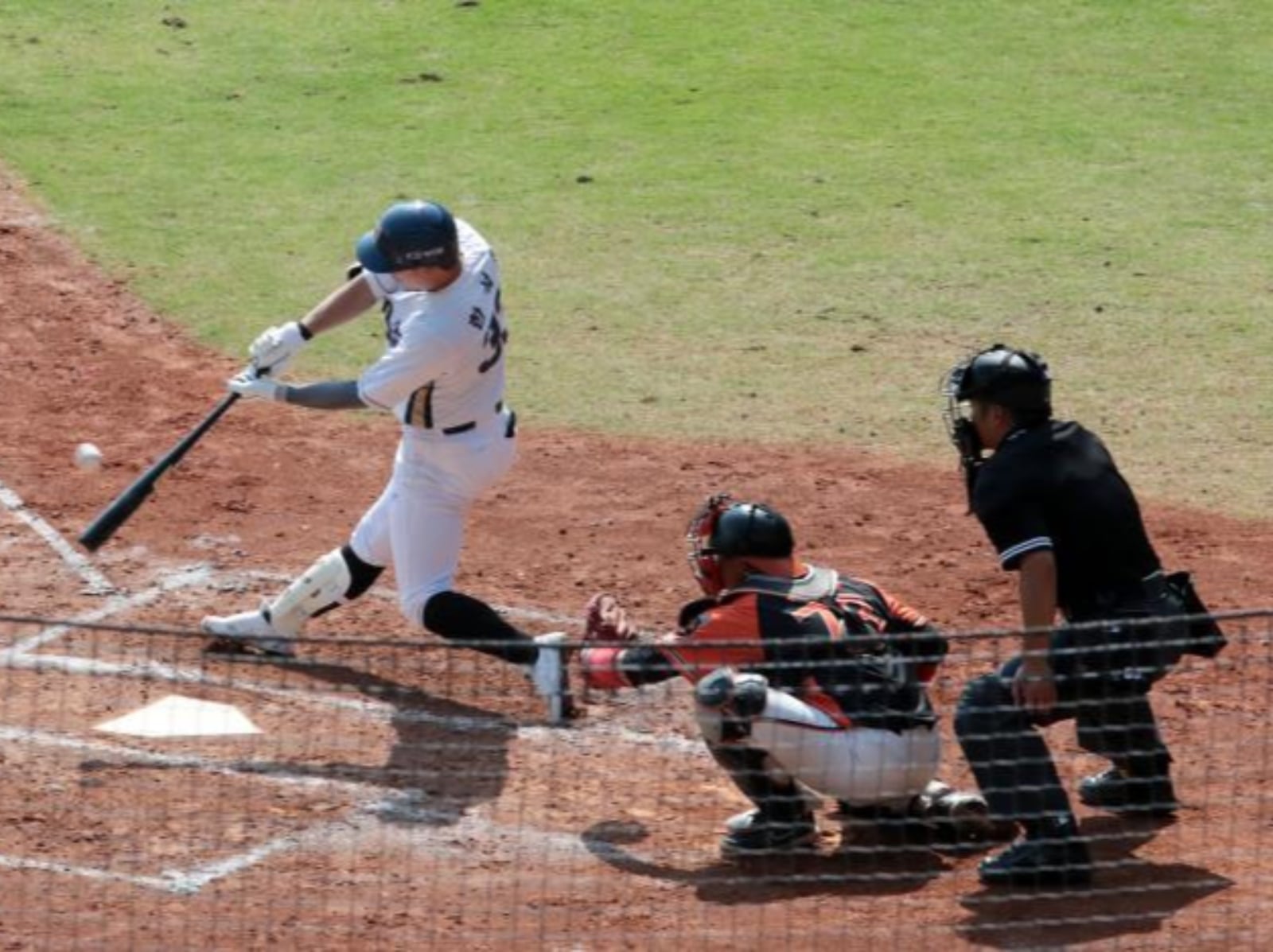 韓國 NC 恐龍二度駐紮台南春訓！狂讚台灣「亞洲最優秀訓練基地」！