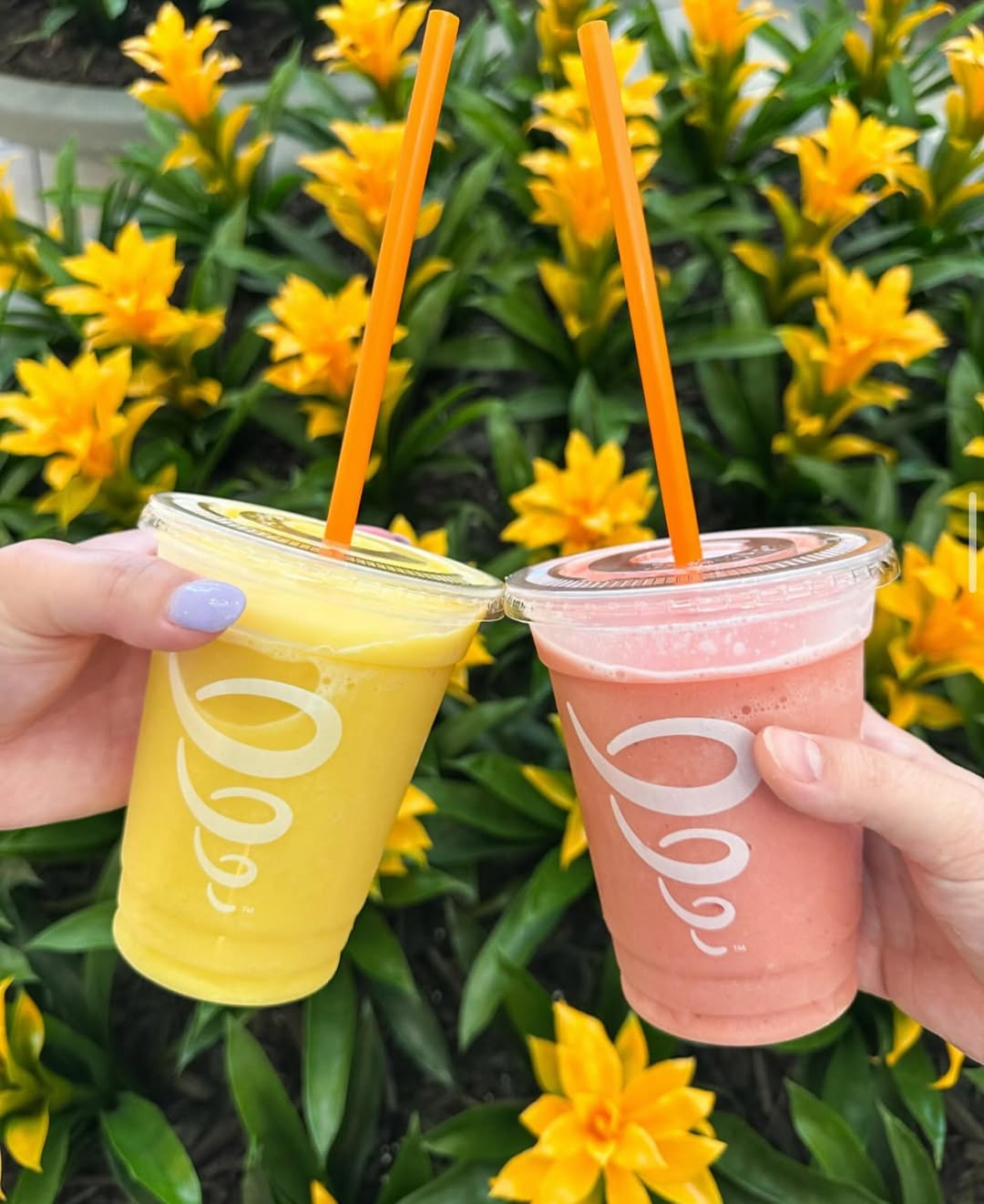 Jamba Juice 美國果昔宣布暫別台灣！粉絲不捨：「太突然了！」