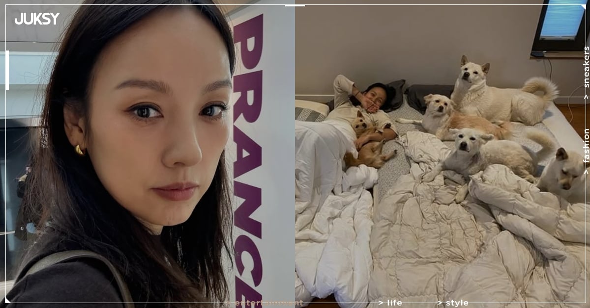 李孝利曬毛孩滿屋照片遭炎上！粉絲護主反擊：「養流浪狗才是天花板！」