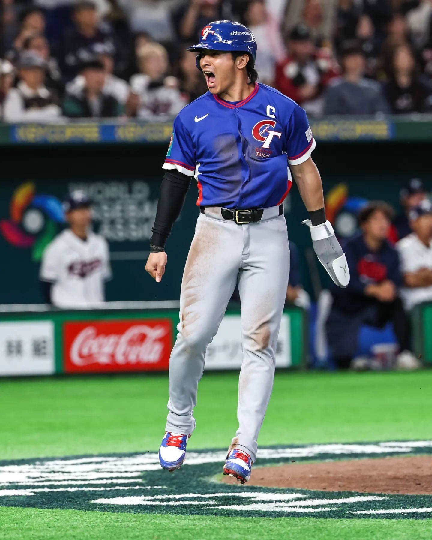 2026 WBC 陳傑憲骨裂手上戴的是什麼？走壘專用護手袋品牌、價格一次看！