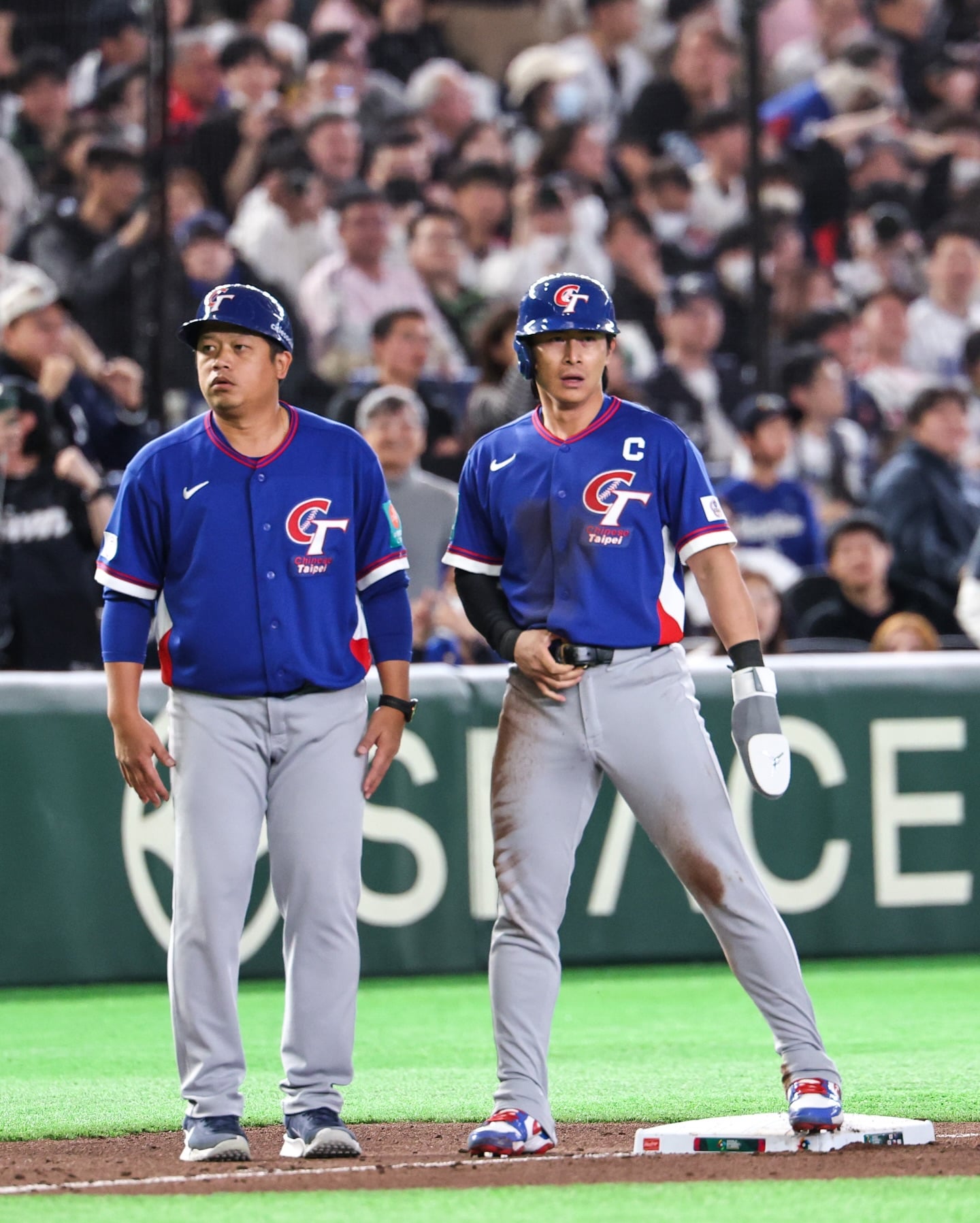 2026 WBC 陳傑憲骨裂手上戴的是什麼？走壘專用護手袋品牌、價格一次看！