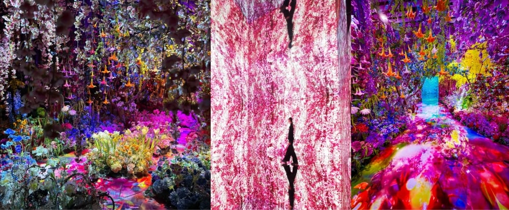 2026 最新展覽檔期活動總整理！展期、地點、購票方式⋯一次看！