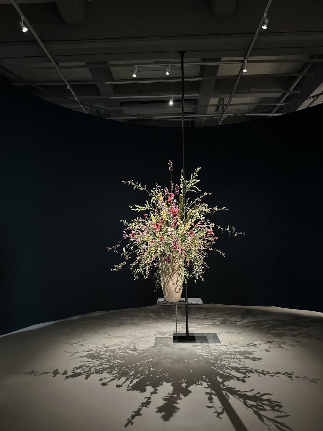 2026 最新展覽檔期活動總整理！展期、地點、購票方式⋯一次看！