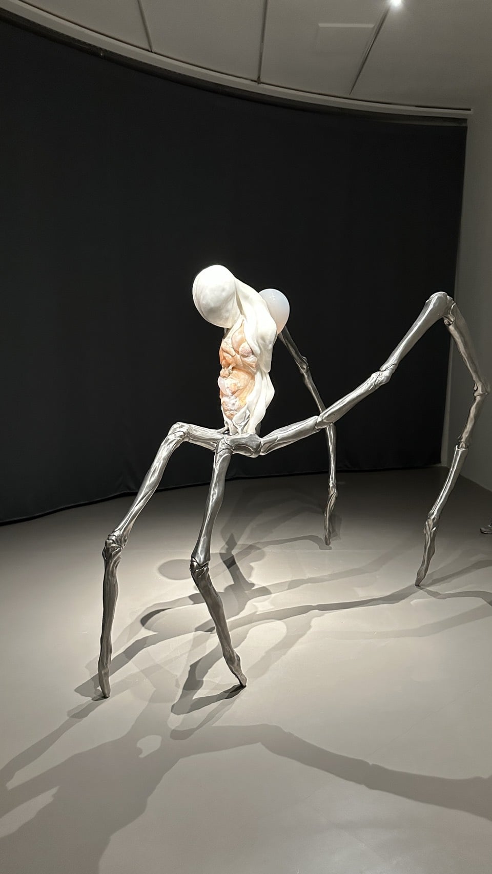 2026 最新展覽檔期活動總整理！展期、地點、購票方式⋯一次看！