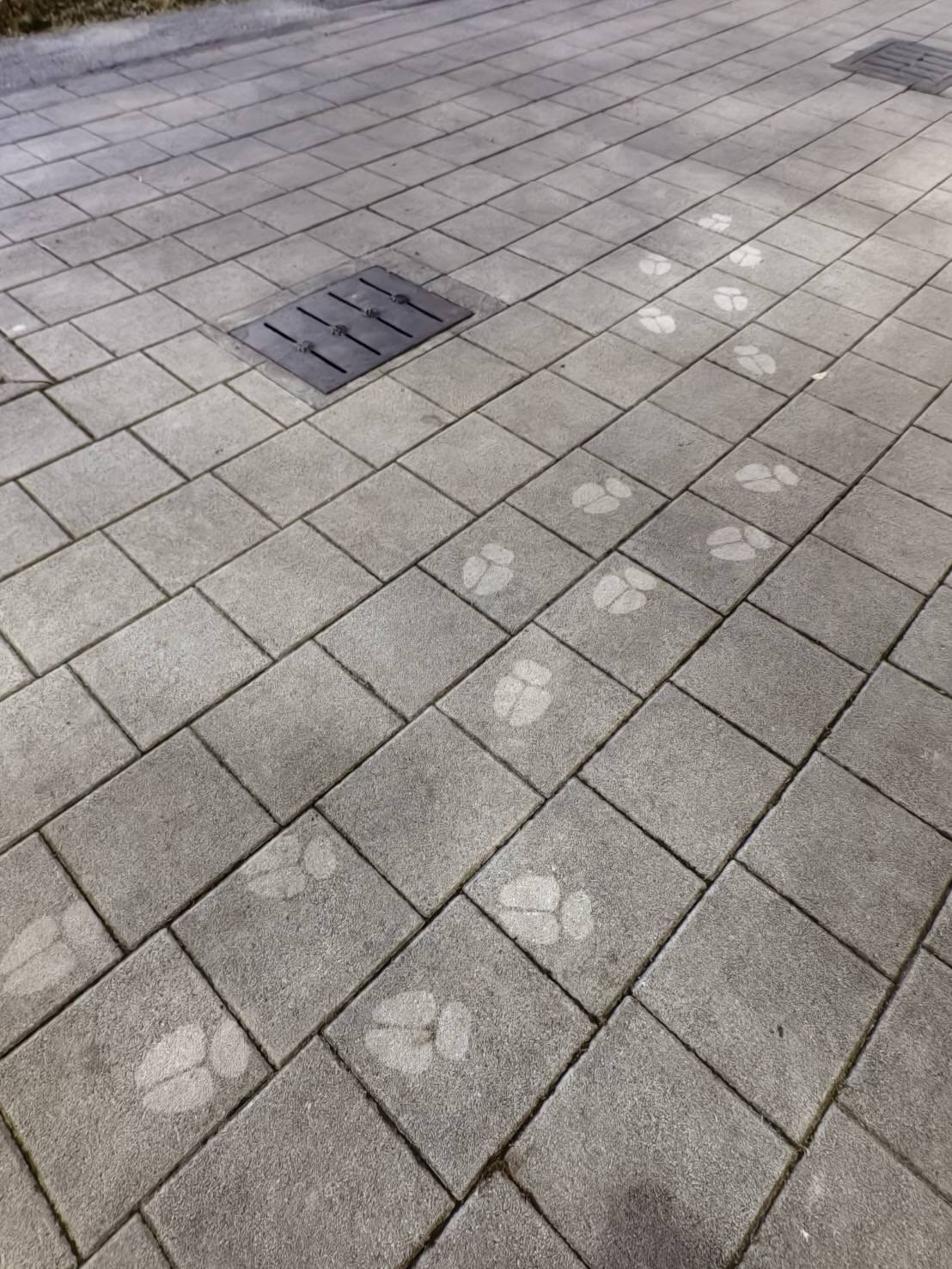 高雄《航海王》遊行 3 月 14 登場！人行道驚見「喬巴」蹤跡引熱議！