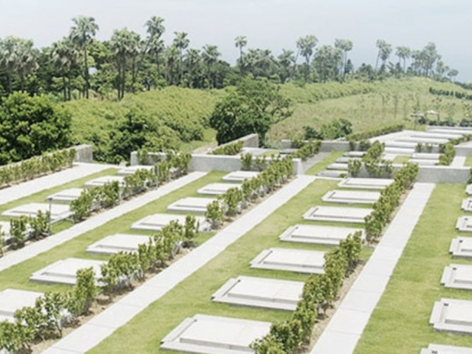 2026 清明節連假掃墓攻略！吉日吉時、禁忌、注意事項一次看！