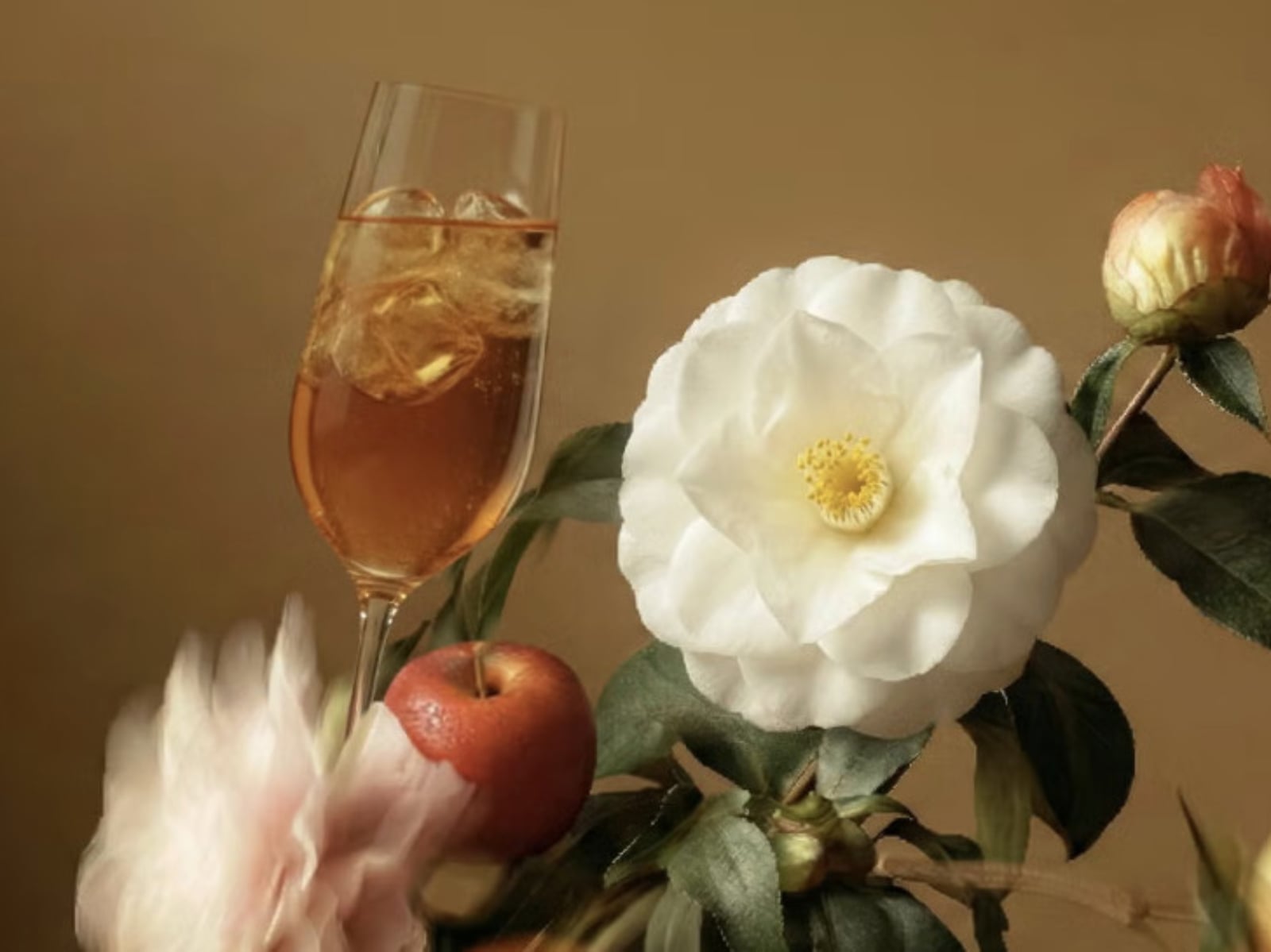 可不可熟成茶行改名升級！4 大手搖春季新品、優惠活動一次看