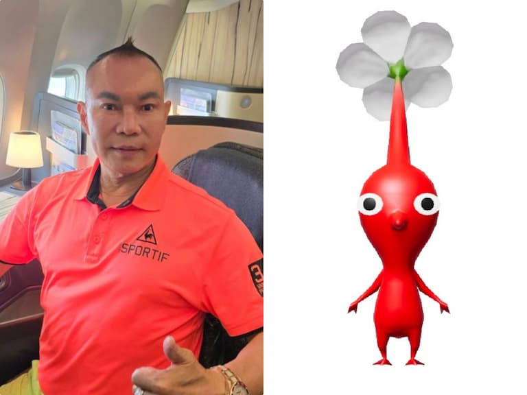 皮克敏吊車大王撞臉粉絲笑爆！網友：「這隻是超高級版本！」