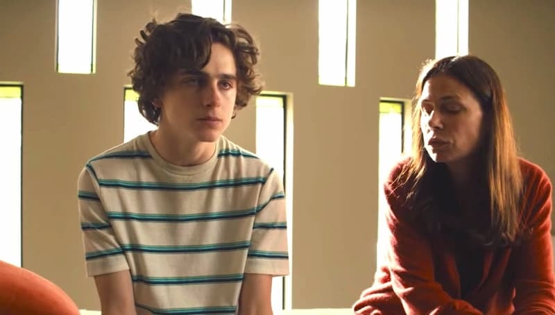 「甜茶」提摩西夏勒梅身高 178 公分、歷任女友、熱愛嘻哈音樂、戲劇作品⋯10 件事快認識！